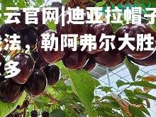 开云官网|迪亚拉帽子戏法，勒阿弗尔大胜波尔多